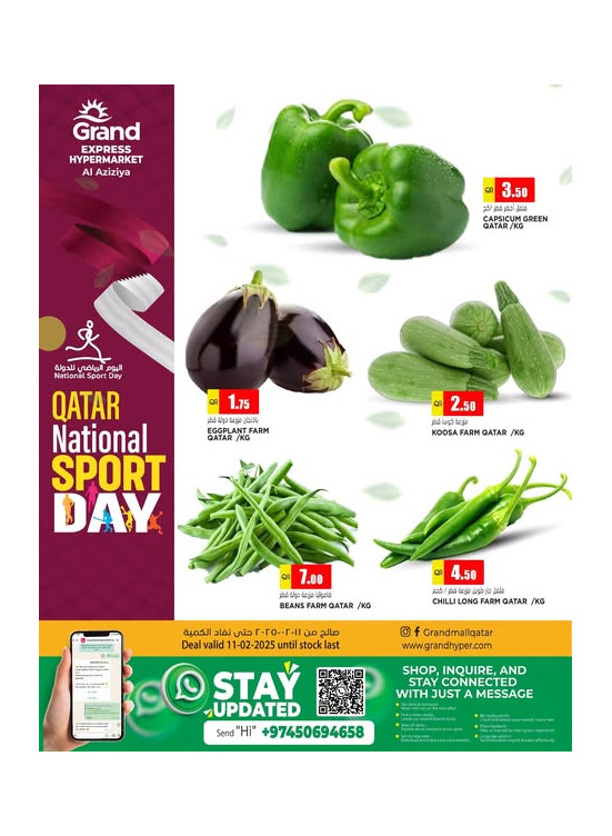 Qatar National Sport Day - Al Aziziah