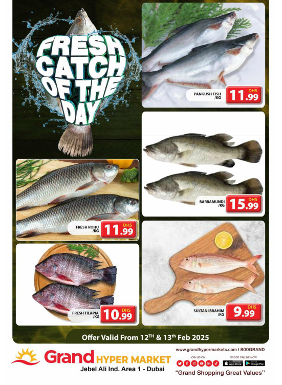 Catch of The Day - Grand Hypermarket Jebel Ali
