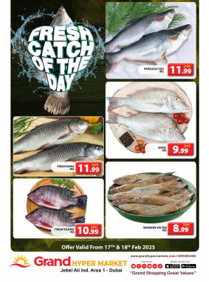 Catch of The Day - Grand Hypermarket Jebel Ali