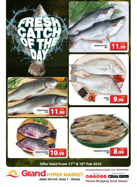 Catch of The Day - Grand Hypermarket Jebel Ali