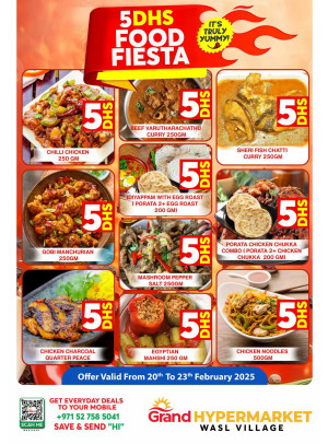 Food Fiesta - Wasl Village, Dubai