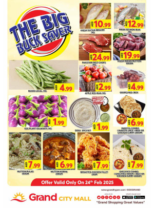 The Big Buck Saver - Grand City Mall