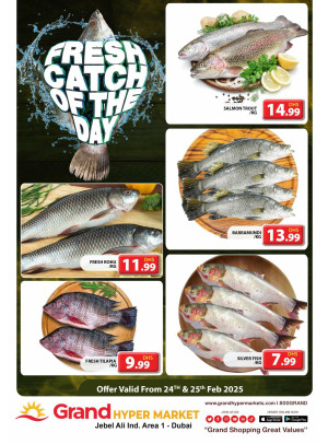 Catch of The Day - Grand Hypermarket Jebel Ali