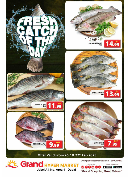 Catch of The Day - Grand Hypermarket Jebel Ali