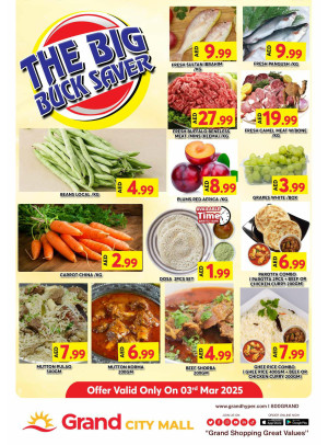 The Big Buck Saver - Grand City Mall