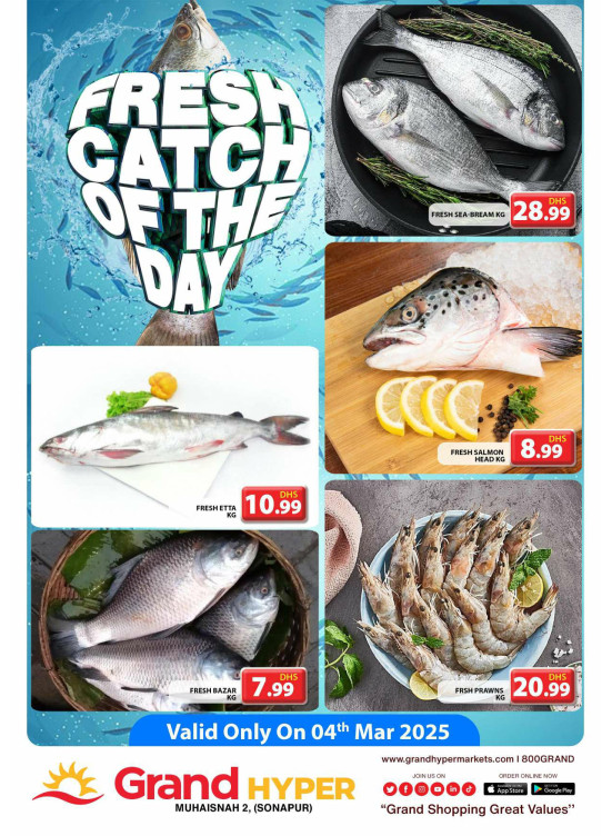 Fresh Catch Of The Day - Grand Hyper Muhaisnah