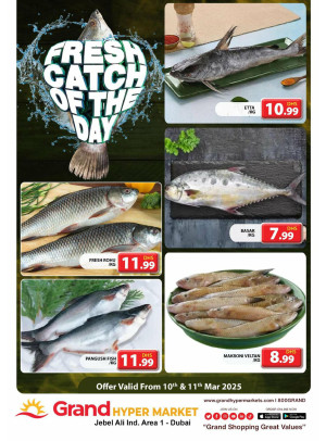 Catch of The Day - Grand Hypermarket Jebel Ali