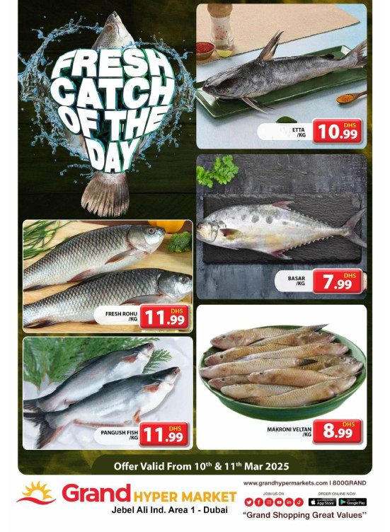 Catch of The Day - Grand Hypermarket Jebel Ali