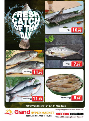 Catch of The Day - Grand Hypermarket Jebel Ali