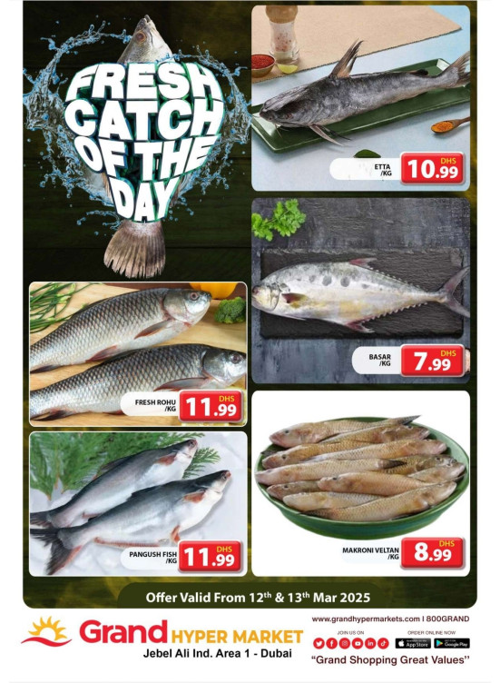 Catch of The Day - Grand Hypermarket Jebel Ali