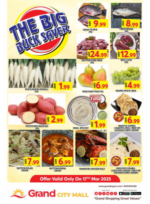 The Big Buck Saver - Grand City Mall
