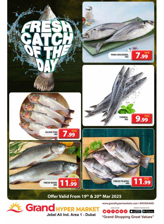 Catch of The Day - Grand Hypermarket Jebel Ali