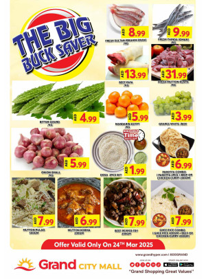 The Big Buck Saver - Grand City Mall