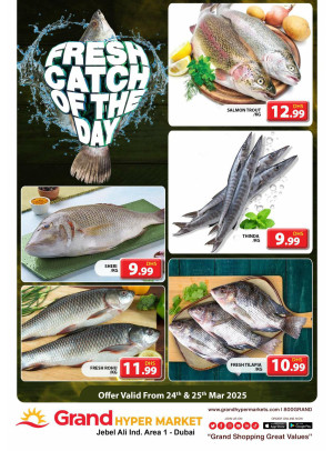 Catch of The Day - Grand Hypermarket Jebel Ali