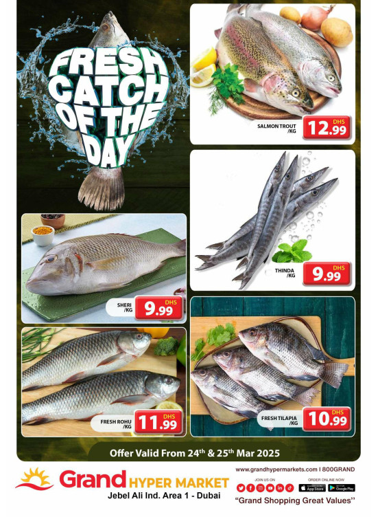 Catch of The Day - Grand Hypermarket Jebel Ali