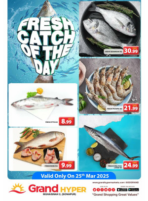 Fresh Catch Of The Day - Grand Hyper Muhaisnah