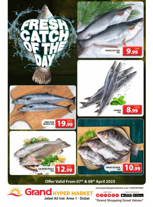 Catch of The Day - Grand Hypermarket Jebel Ali