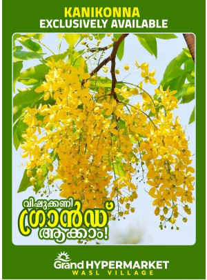 Vishu Deals - Wasl Village, Dubai