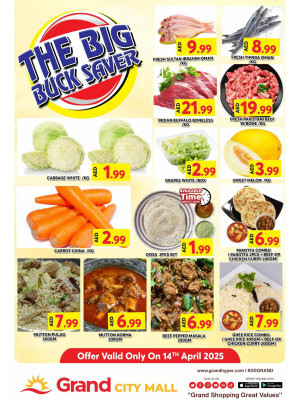 The Big Buck Saver - Grand City Mall
