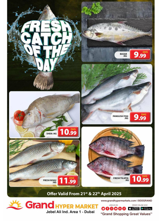 Catch of The Day - Grand Hypermarket Jebel Ali