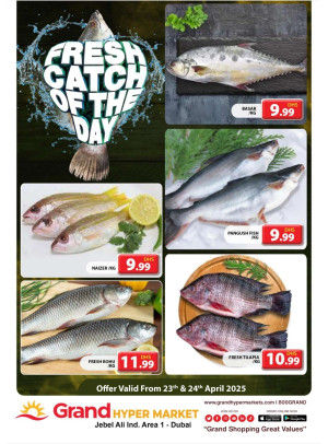 Catch of The Day - Grand Hypermarket Jebel Ali