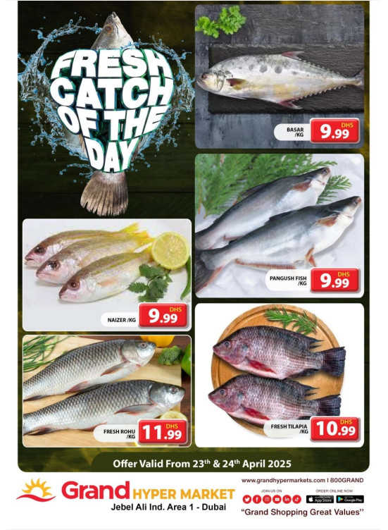 Catch of The Day - Grand Hypermarket Jebel Ali