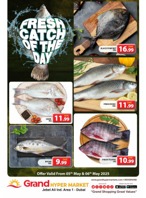 Catch of The Day - Grand Hypermarket Jebel Ali