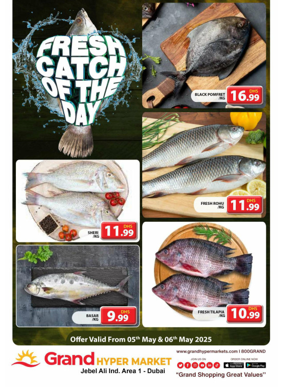 Catch of The Day - Grand Hypermarket Jebel Ali