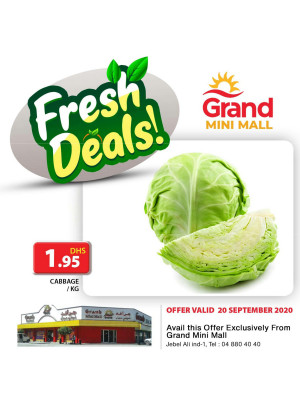 Fresh Deals - Grand Mini Mall