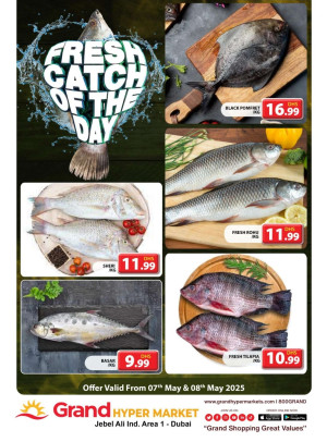 Catch of The Day - Grand Hypermarket Jebel Ali