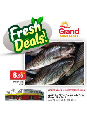 Fresh Deals - Grand Mini Mall