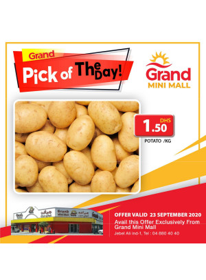 Pick of The Day - Grand Mini Mall
