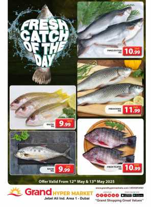 Catch of The Day - Grand Hypermarket Jebel Ali
