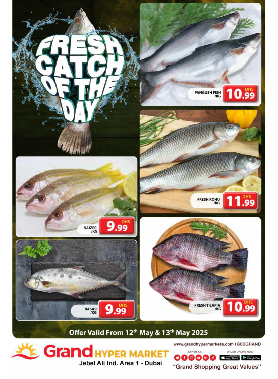 Catch of The Day - Grand Hypermarket Jebel Ali