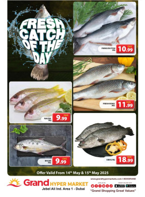 Catch of The Day - Grand Hypermarket Jebel Ali