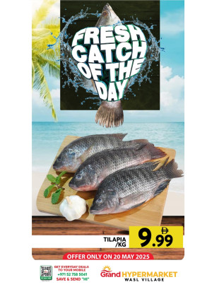 Catch of The Day - Wasl Village, Dubai