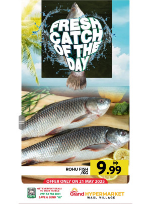 Catch of The Day - Wasl Village, Dubai