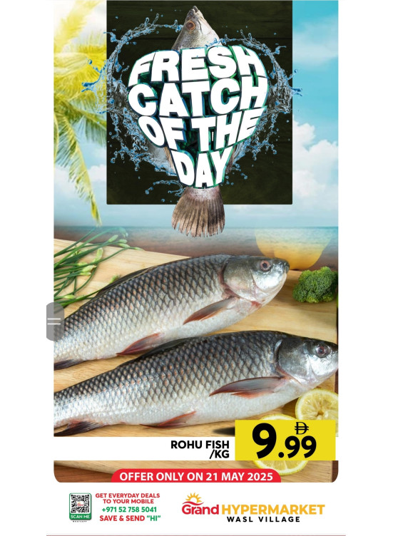 Catch of The Day - Wasl Village, Dubai