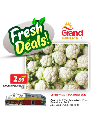 Fresh Deals - Grand Mini Mall