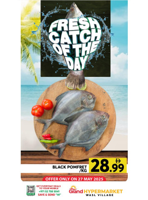 Catch of The Day - Wasl Village, Dubai