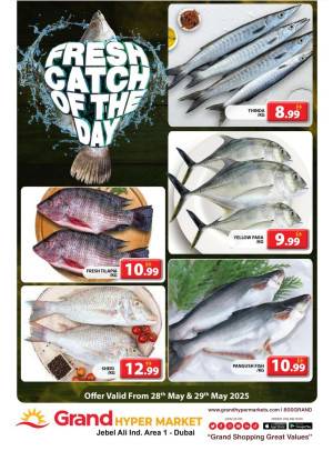 Catch of The Day - Grand Hypermarket Jebel Ali
