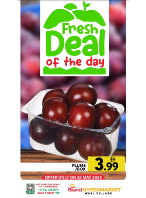 Fresh Deal Of The Day - Wasl Village, Dubai
