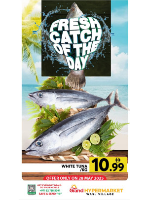 Catch of The Day - Wasl Village, Dubai
