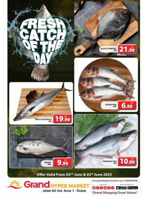 Catch of The Day - Grand Hypermarket Jebel Ali
