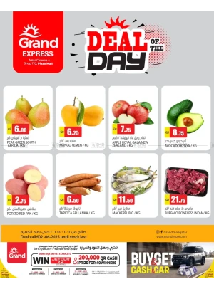 Deal of the Day - Plaza Mall, Asian Town