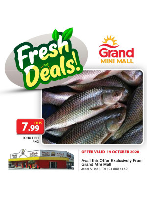 Fresh Deals - Grand Mini Mall