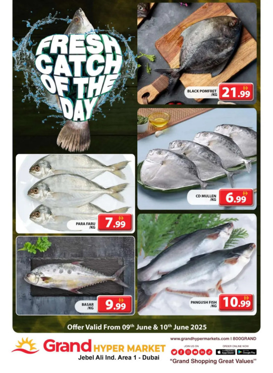 Catch of The Day - Grand Hypermarket Jebel Ali