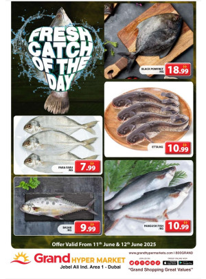 Catch of The Day - Grand Hypermarket Jebel Ali