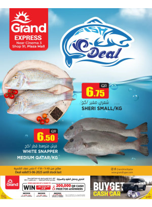 Fish Deal - Plaza Mall, Asian Town
