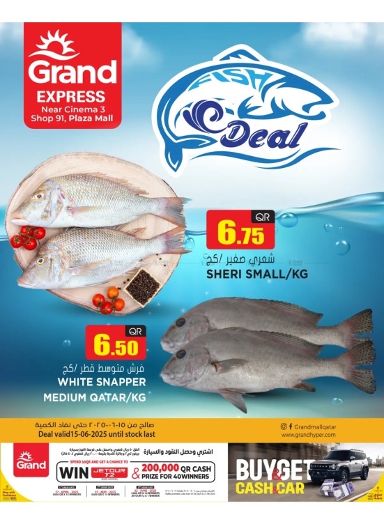 Fish Deal - Plaza Mall, Asian Town